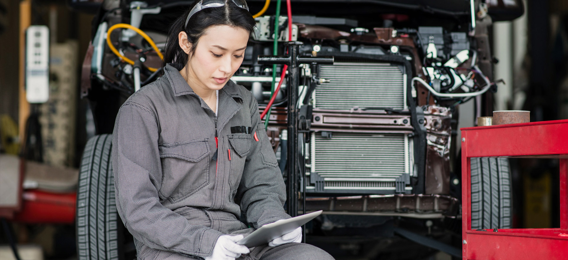 Woman looking at Direct-Hit® Professional on tablet